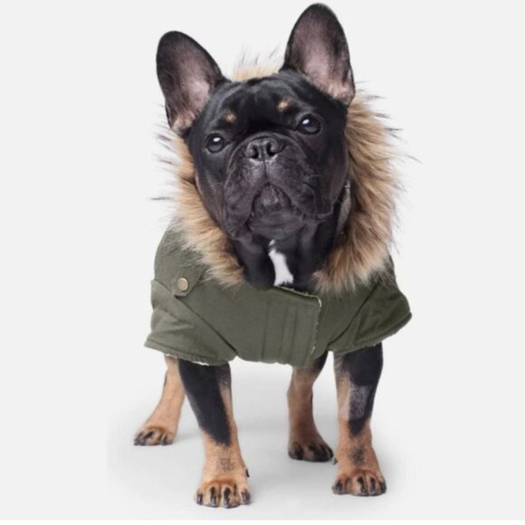 Canada Pooch Alaskan Army Parka In Army Green, 10 - Picture 1 of 8